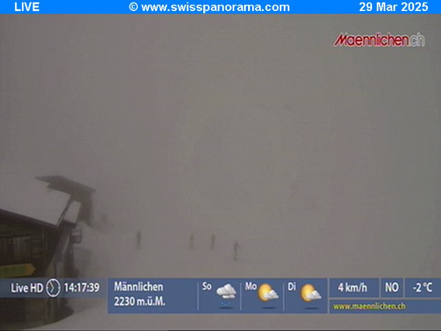 Mnnlichen live cam