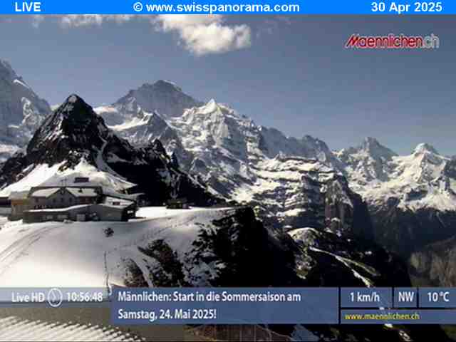 Mnnlichen live cam