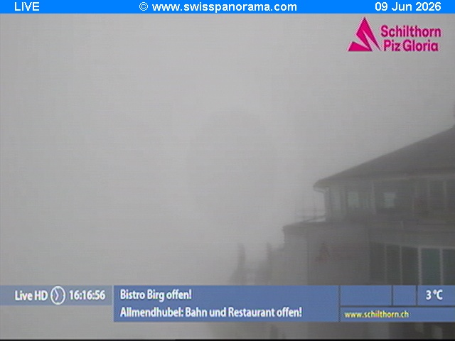 LiveCam1